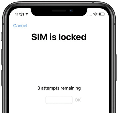 sim is locked